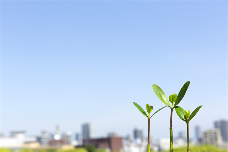 株式会社ナカヤス機材サービス